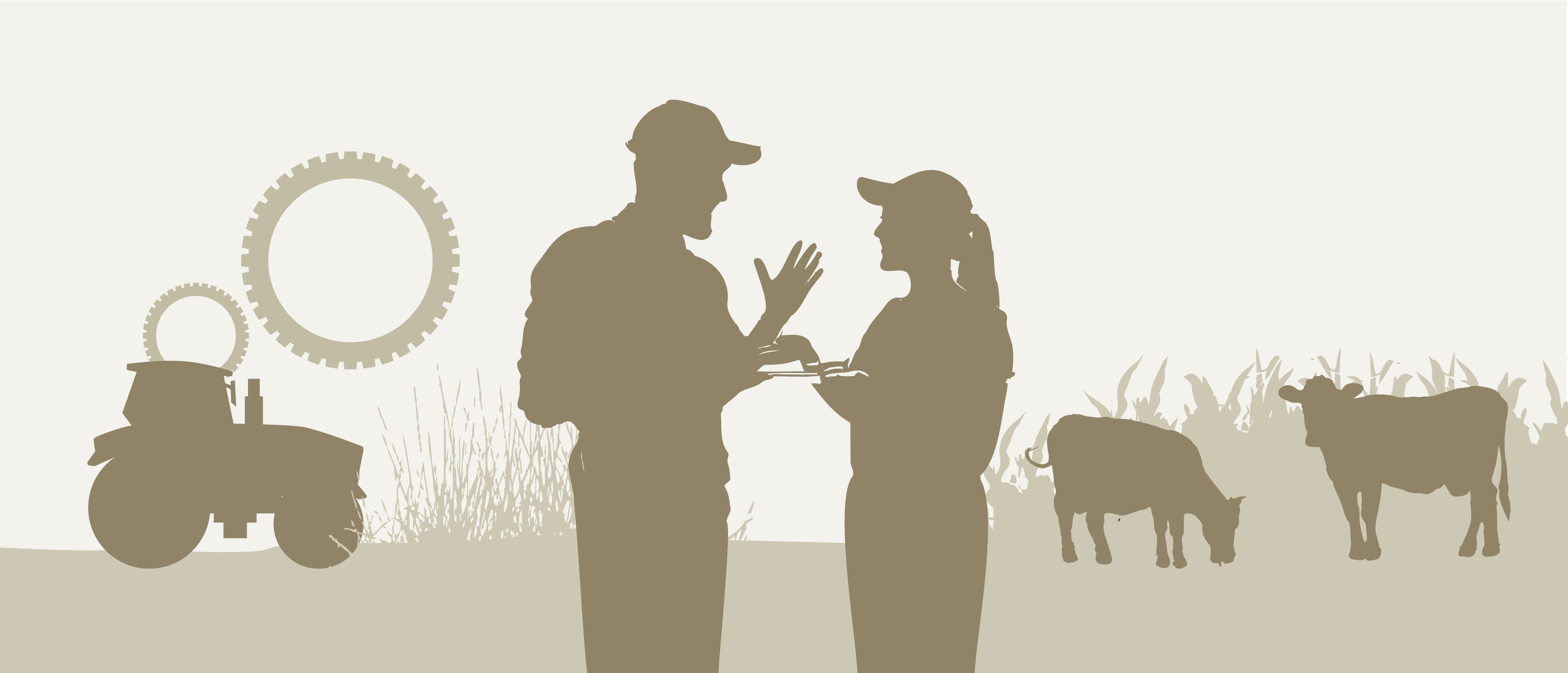 H. Wilhelm Schaumann Stiftung H. Wilhelm Schaumann Stiftung