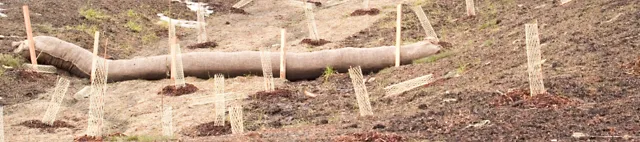 Erosionsschutz Erosionsschutz