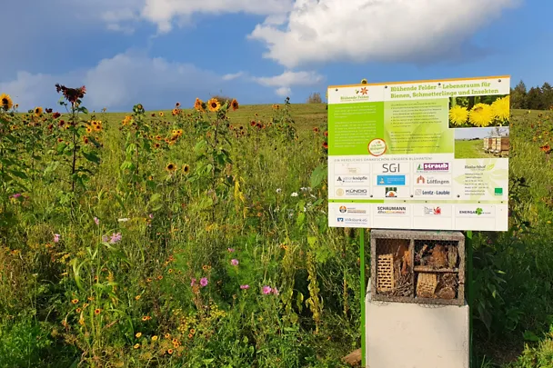 de_sbe_bluehpatenschaft_feld de_sbe_bluehpatenschaft_feld