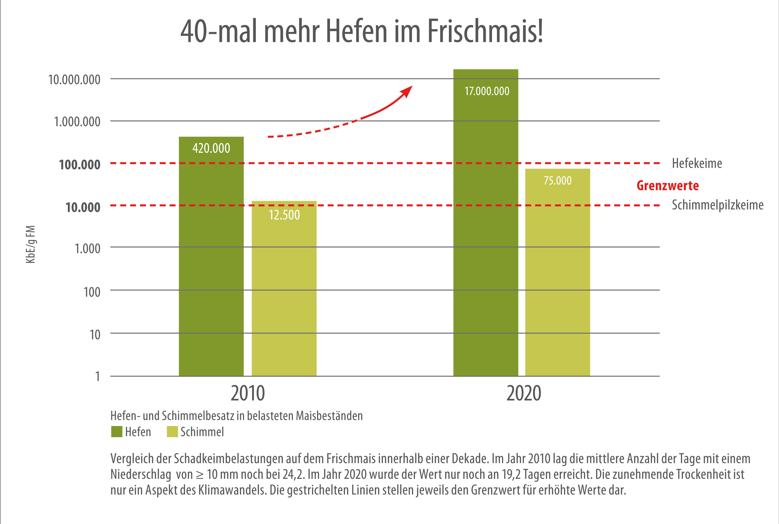 de_sbe_Grafik_HefenFrischmais de_sbe_Grafik_HefenFrischmais