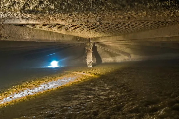 Blick in den Fermenter Blick in den Fermenter