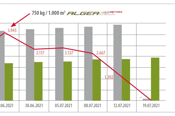ALGEACELL Detox Grafik ALGEACELL Detox Grafik