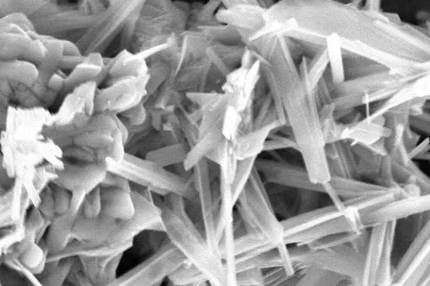 ACTILINC - Trace element chelate complex ACTILINC - Trace element chelate complex