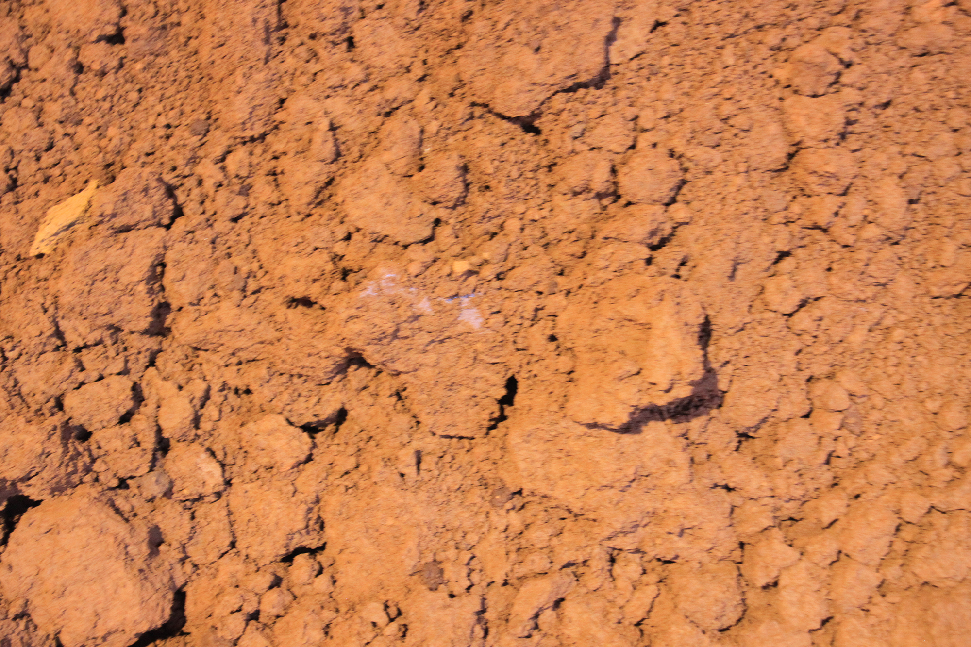 sbe_de_bc_atox_scon_produktion_3 sbe_de_bc_atox_scon_produktion_3