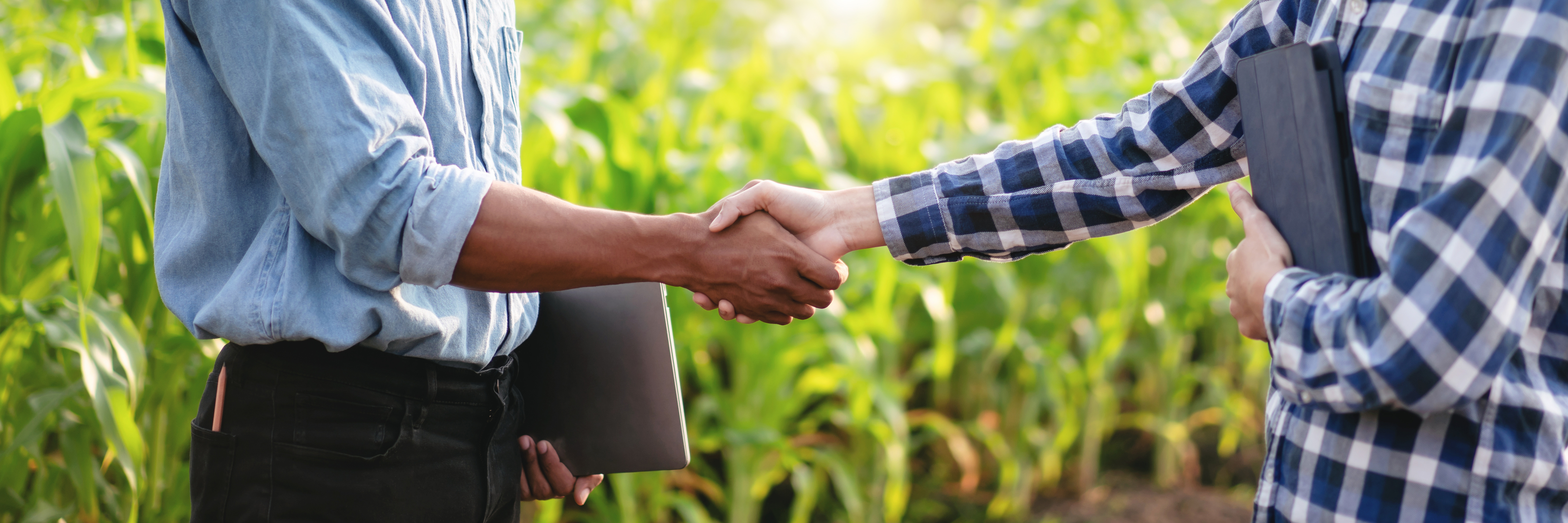 AdobeStock_625930207_Katcha AdobeStock_625930207_Katcha