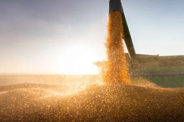 Harvest sunset Harvest sunset
