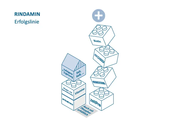 Milchkuehe_2026_251125_04 Milchkuehe_2026_251125_04