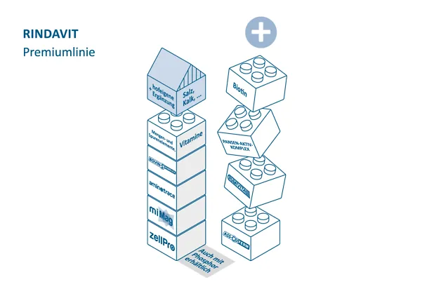 Milchkuehe_2026_251125_05 Milchkuehe_2026_251125_05