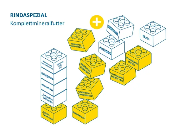 Milchkuehe_2026_251125_06 Milchkuehe_2026_251125_06