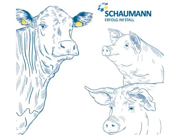 Illustration mit einem Rind und zwei Schweinen, die den FutterPLUS-Bonus symbolisieren Illustration mit einem Rind und zwei Schweinen, die den FutterPLUS-Bonus symbolisieren