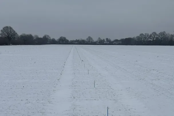 Wintergersten-Exaktversuch auf Gut Hülsenberg im Winter 2026 Wintergersten-Exaktversuch auf Gut Hülsenberg im Winter 2026