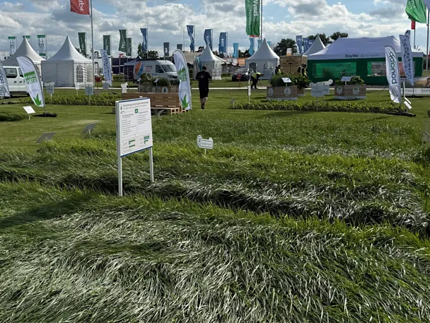 Parzellen GreenStar Grassamen auf der Versuchsfläche der DLG-Feldtage 2026 Parzellen GreenStar Grassamen auf der Versuchsfläche der DLG-Feldtage 2026