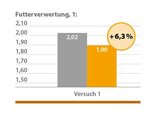 Geflügelfütterung mit CERAVITAL Geflügelfütterung mit CERAVITAL