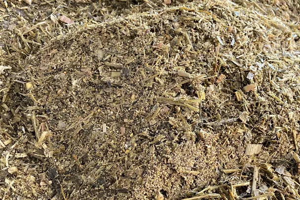 Ergebnis Schaufeltest Ergebnis Schaufeltest