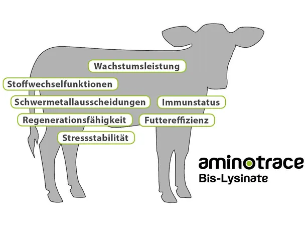 Wirkschwerpunkte von Aminotrace bei Kälbern Wirkschwerpunkte von Aminotrace bei Kälbern
