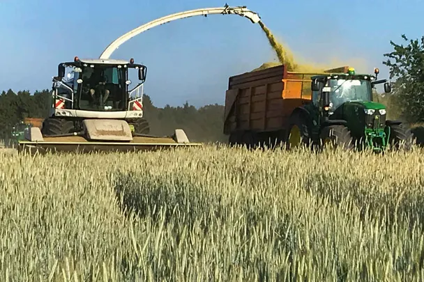 Ernte von Ganzpflanzensilage (GPS) auf Gut Hülsenberg Ernte von Ganzpflanzensilage (GPS) auf Gut Hülsenberg