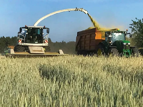 Ernte von Ganzpflanzensilage (GPS) auf Gut Hülsenberg Ernte von Ganzpflanzensilage (GPS) auf Gut Hülsenberg