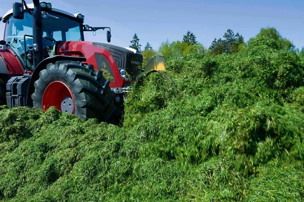 Traktor verdichtet Grassilage Traktor verdichtet Grassilage