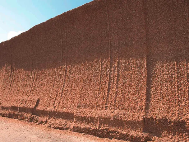 Geöffnetes Maissilo mit Anschnittfläche Geöffnetes Maissilo mit Anschnittfläche