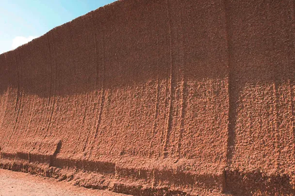 Anschnittfläche einer Maissilage Anschnittfläche einer Maissilage