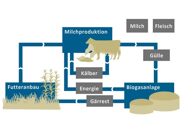 Grafik zur Klimabilanz von Gut Hülsenberg Grafik zur Klimabilanz von Gut Hülsenberg