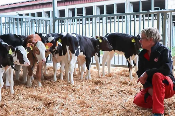 Kälberaufzucht bei der Agrargenossenschaft Königsee Kälberaufzucht bei der Agrargenossenschaft Königsee