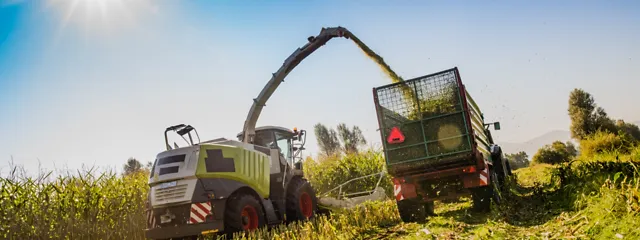 Maisernte mit Maishäcksler und Ladewagen Maisernte mit Maishäcksler und Ladewagen
