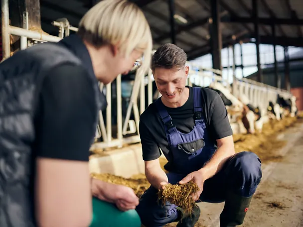 Beratung zwischen zwei Personen zu Rinderfutter auf einem Futtertisch Beratung zwischen zwei Personen zu Rinderfutter auf einem Futtertisch