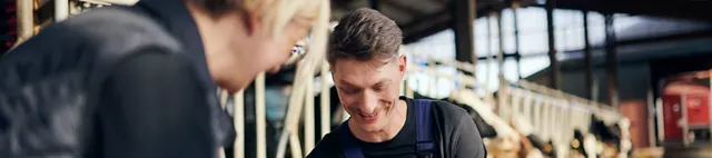 Beratung zwischen zwei Personen zu Rinderfutter auf einem Futtertisch Beratung zwischen zwei Personen zu Rinderfutter auf einem Futtertisch