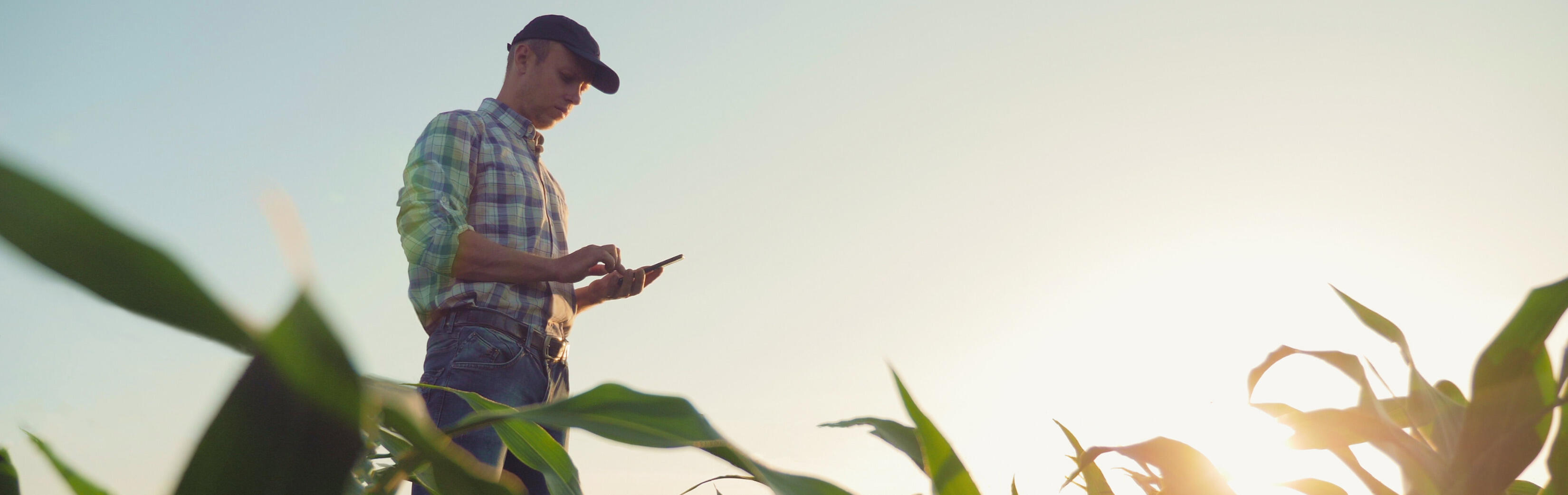 Landwirt nutzt Smartphone in der Natur